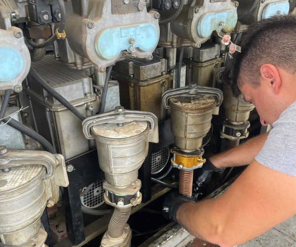 PHOTO-2026-01-09-18-02-51